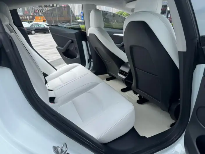 Model 3 2022 Model Rear-wheel drive version – фото 9