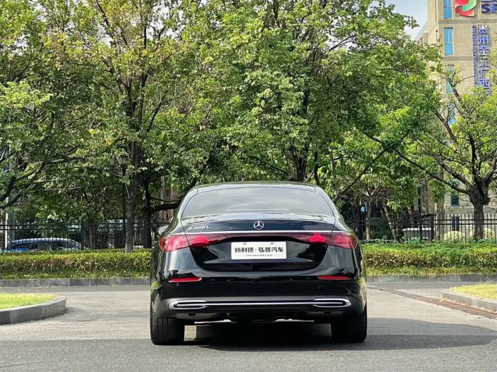 Mercedes-Benz E-Class 2025 Model Facelift E 300 L Luxury Model sedan – фото 5