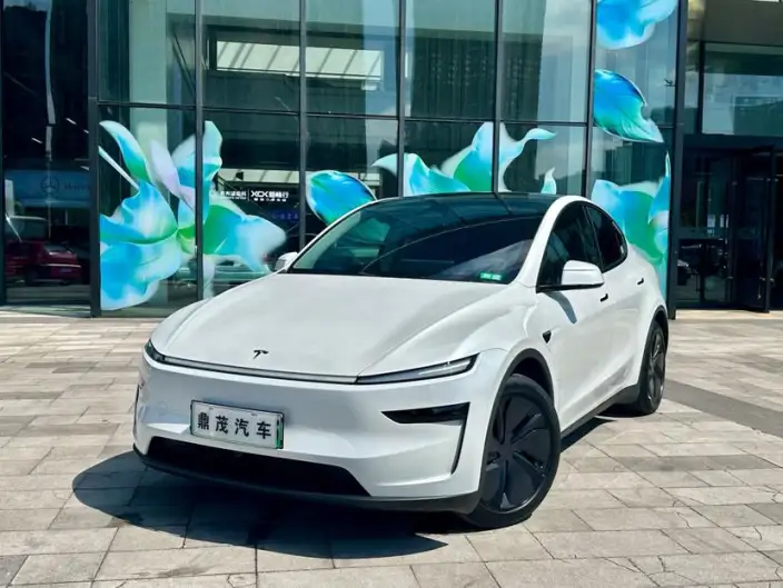 Model Y 2025 Model Rear-wheel drive version – фото 1
