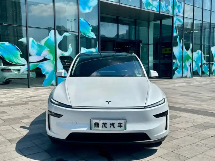 Model Y 2025 Model Rear-wheel drive version – фото 2