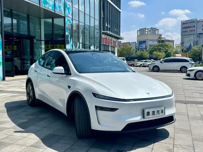 Model Y 2025 Model Rear-wheel drive version – фото 3