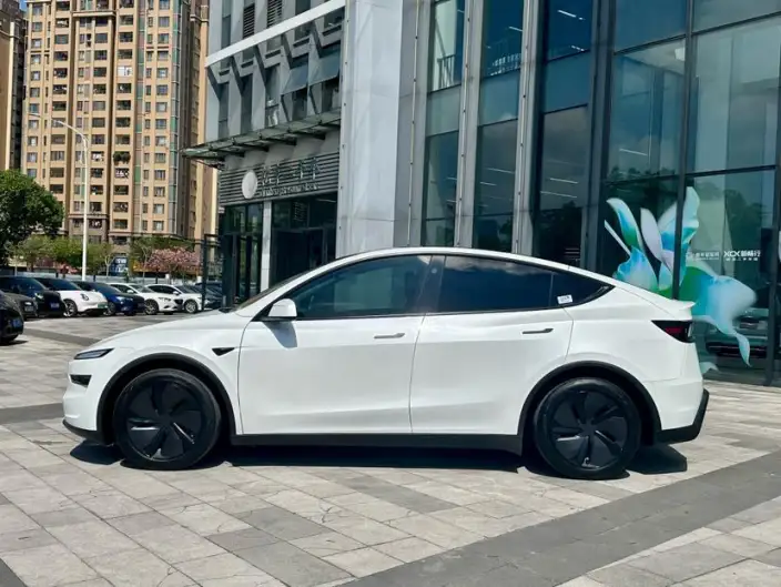 Model Y 2025 Model Rear-wheel drive version – фото 4