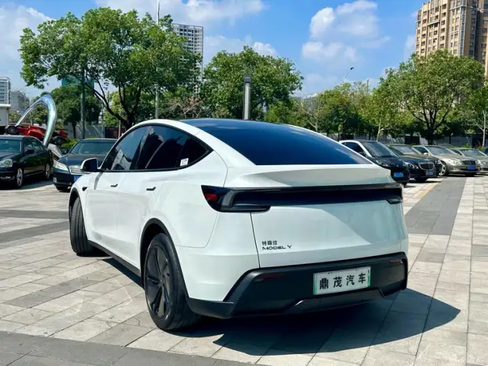 Model Y 2025 Model Rear-wheel drive version – фото 5