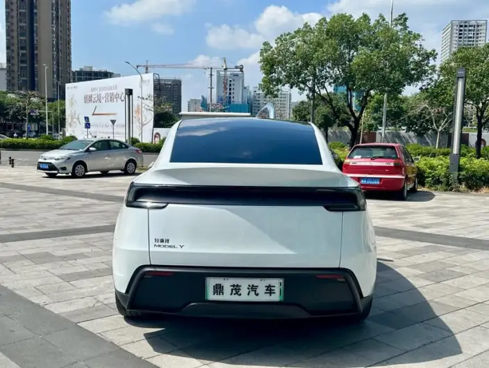 Model Y 2025 Model Rear-wheel drive version – фото 6