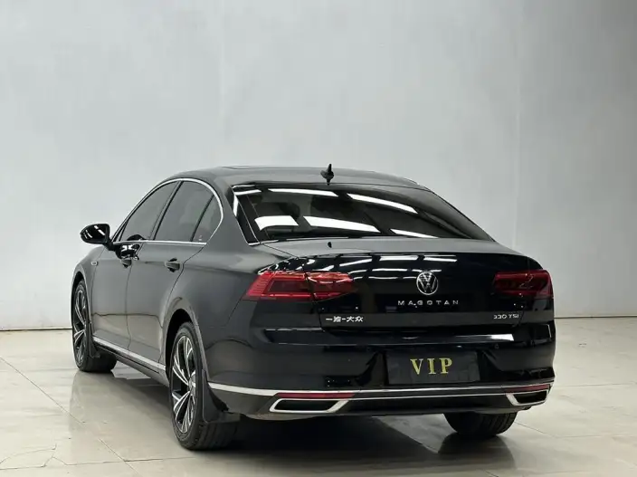 Volkswagen Magotan 2020 Model 330TSI DSG Luxury Model – фото 4