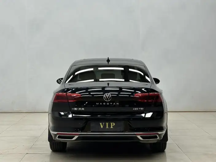 Volkswagen Magotan 2020 Model 330TSI DSG Luxury Model – фото 5