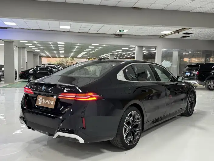 BMW 5 Series 2025 Model 530Li Leading Model Luxury Set – фото 6