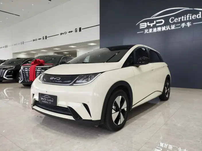 BYD Dolphin 2023 Model Free Edition – фото 1