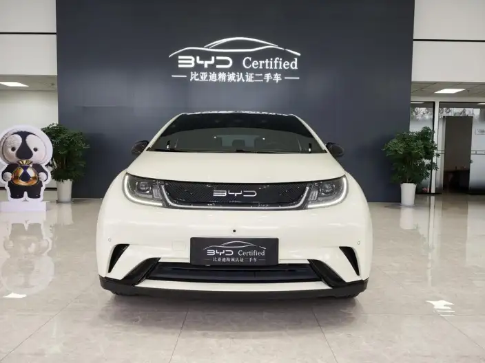 BYD Dolphin 2023 Model Free Edition – фото 2