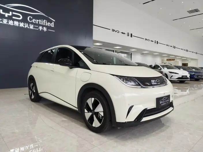 BYD Dolphin 2023 Model Free Edition – фото 3