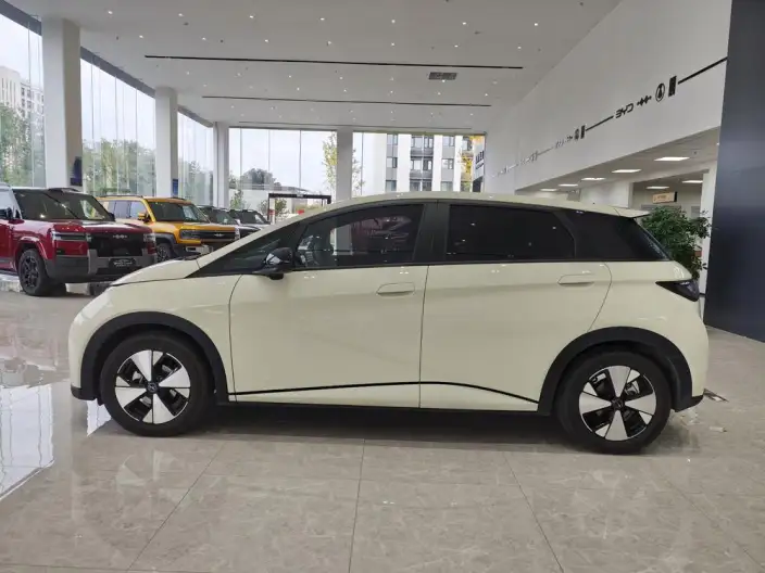 BYD Dolphin 2023 Model Free Edition – фото 4