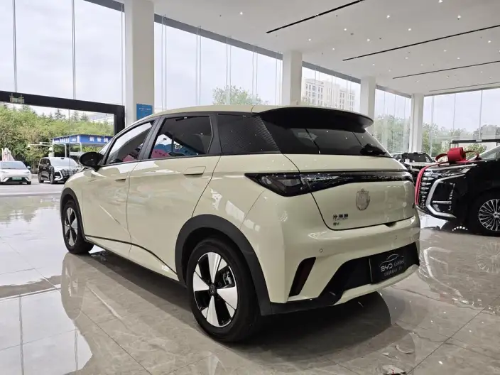 BYD Dolphin 2023 Model Free Edition – фото 5