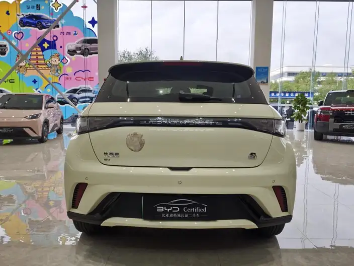 BYD Dolphin 2023 Model Free Edition – фото 6