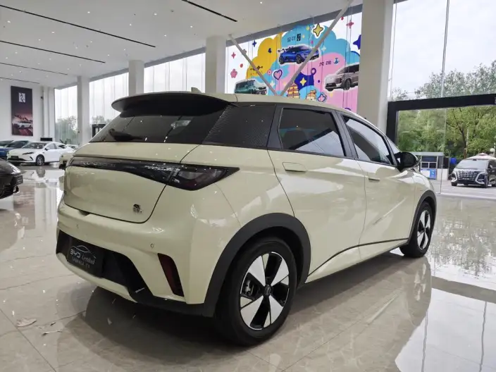 BYD Dolphin 2023 Model Free Edition – фото 7