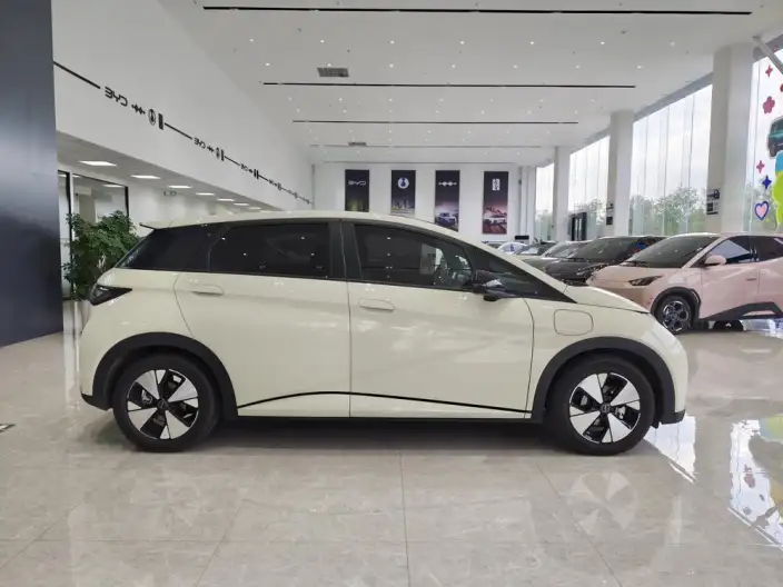 BYD Dolphin 2023 Model Free Edition – фото 8