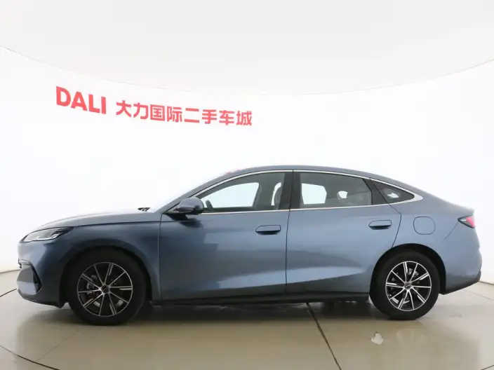 BYD Seal 06 DM 2024 Model DM-i 80KM Noble Model – фото 4