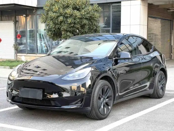 Model Y 2024 Model Rear-wheel drive version – фото 1