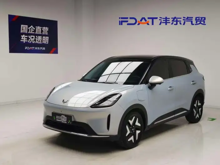 Wuling BingoS 2025 Model 430km Flagship Model