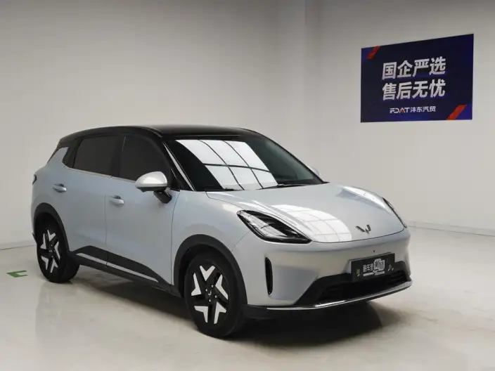 Wuling BingoS 2025 Model 430km Flagship Model