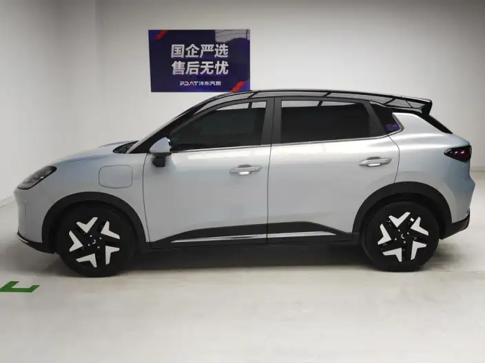 Wuling BingoS 2025 Model 430km Flagship Model