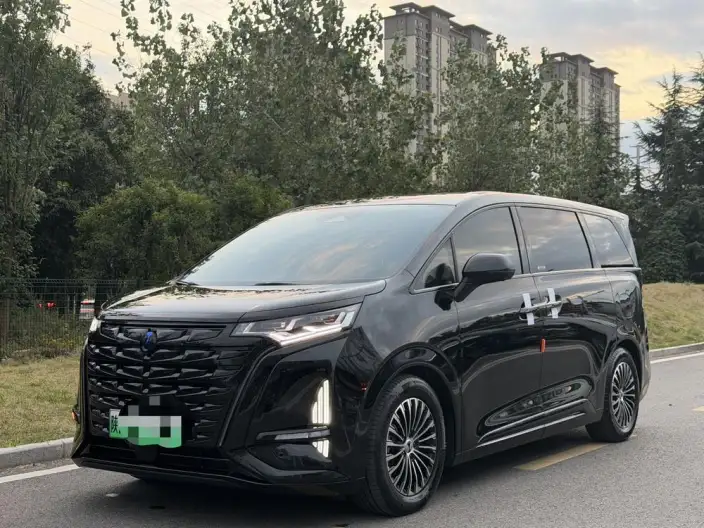 DENZA D9 DM 2024 Model 970 Luxury Model