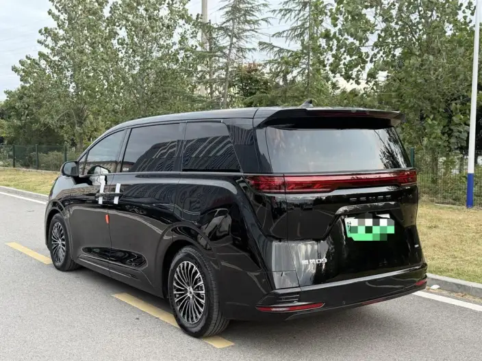 DENZA D9 DM 2024 Model 970 Luxury Model