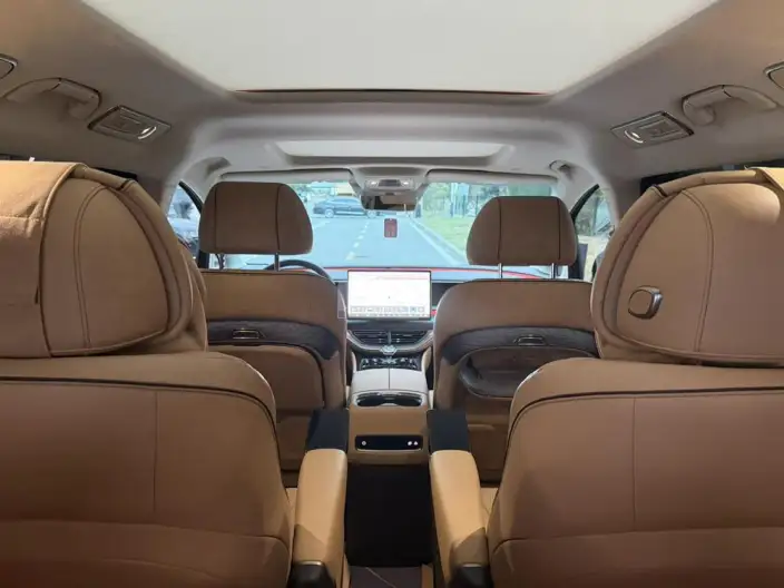 DENZA D9 DM 2024 Model 970 Luxury Model – фото 9