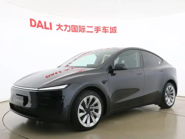 Model Y 2025 Model Rear-wheel drive version – фото 1