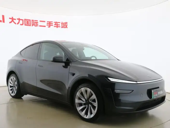 Model Y 2025 Model Rear-wheel drive version – фото 3