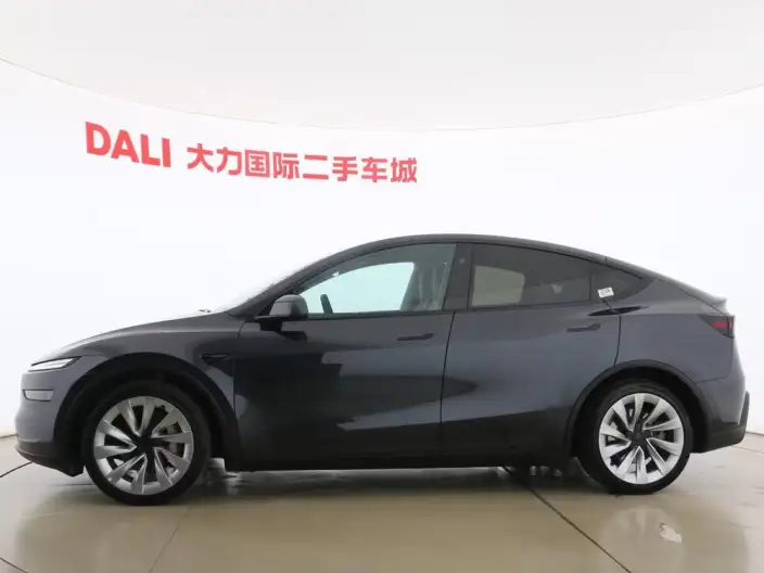 Model Y 2025 Model Rear-wheel drive version – фото 4