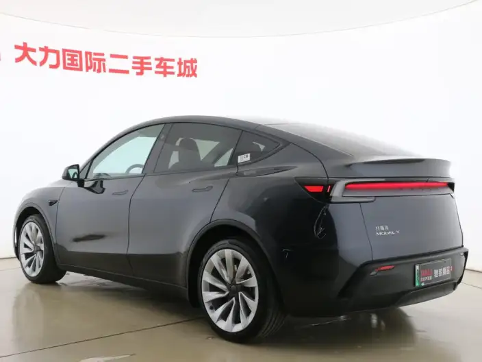 Model Y 2025 Model Rear-wheel drive version – фото 5