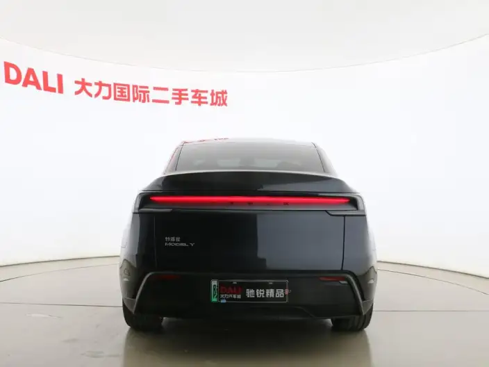 Model Y 2025 Model Rear-wheel drive version – фото 6