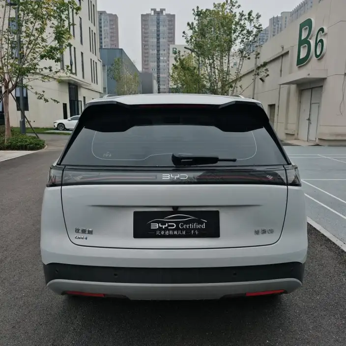 Haise 05DM 2026 Model DM-i 220KM Pilot Edition – фото 4