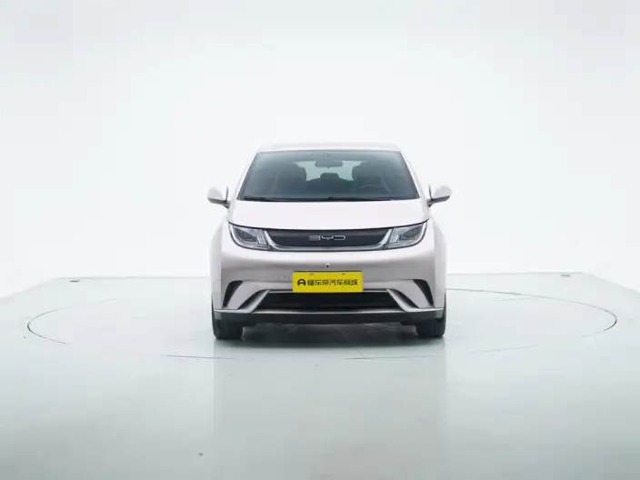 BYD Dolphin 2023 Model Free Edition – фото 2