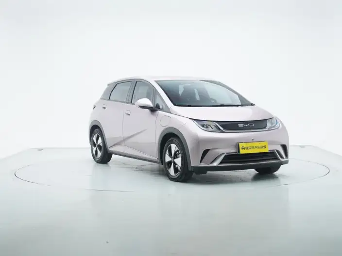 BYD Dolphin 2023 Model Free Edition – фото 3