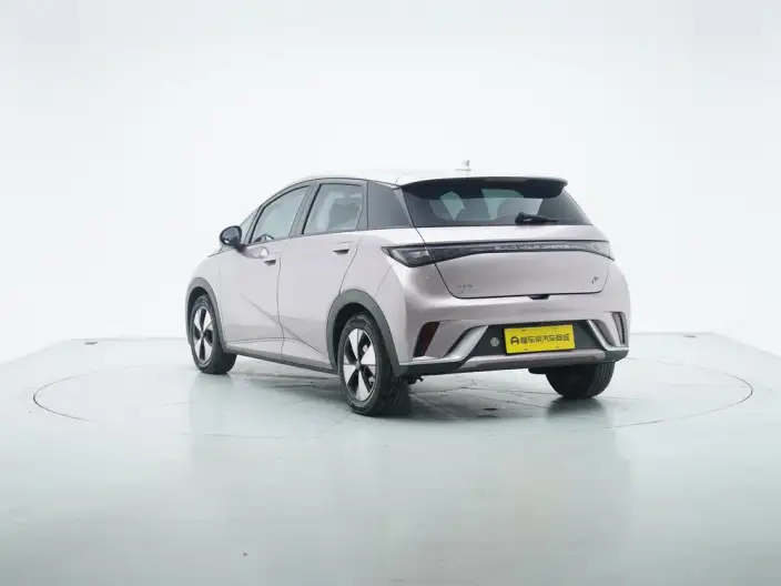 BYD Dolphin 2023 Model Free Edition – фото 5