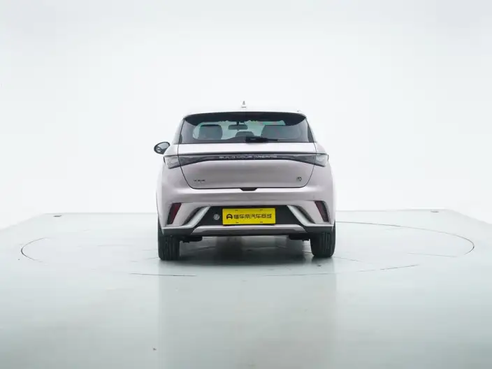 BYD Dolphin 2023 Model Free Edition – фото 6
