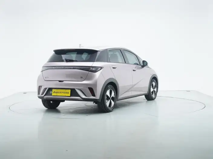 BYD Dolphin 2023 Model Free Edition – фото 7