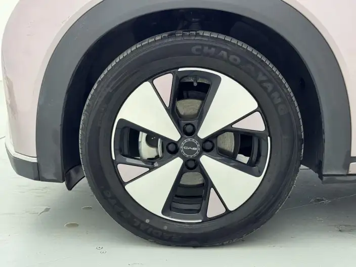 BYD Dolphin 2023 Model Free Edition – фото 9