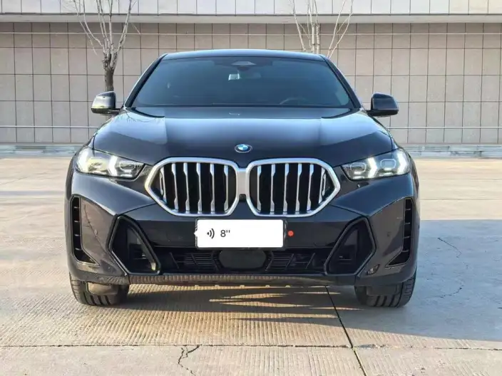BMW X6 2023 Model Facelift xDrive40i Exclusive Model M Sports Set – фото 2