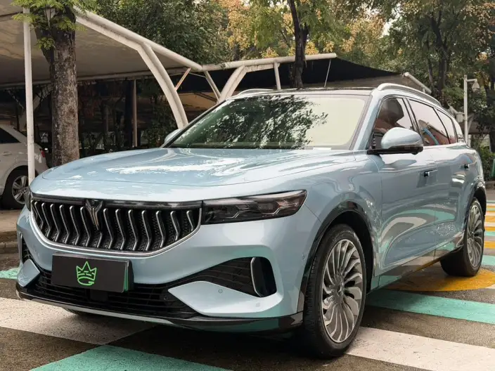 VOYAH FREE 2021 Model 2WD Standard EV City Edition