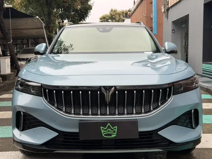 VOYAH FREE 2021 Model 2WD Standard EV City Edition – фото 8