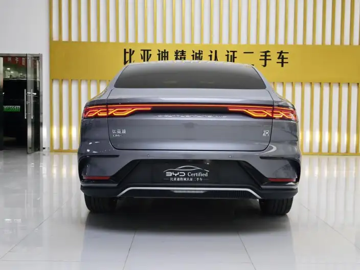 BYD Han DM 2022 Model DM-i 121KM Zunrong Model – фото 6