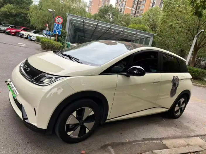 BYD Dolphin 2023 Model Fashion Edition – фото 1