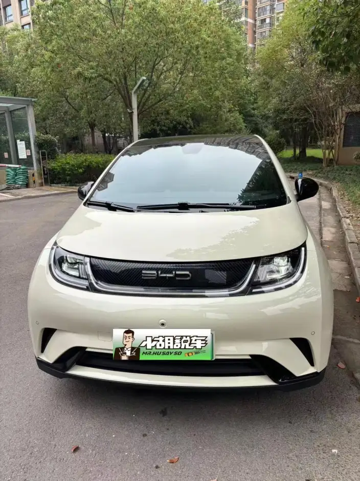 BYD Dolphin 2023 Model Fashion Edition – фото 2