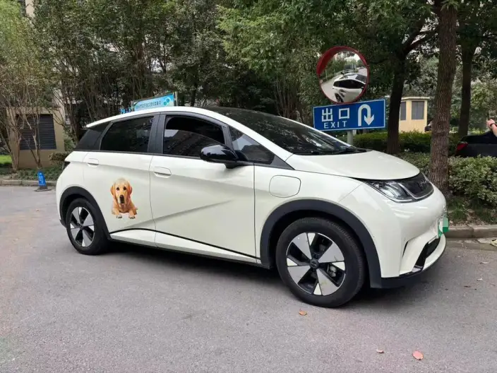 BYD Dolphin 2023 Model Fashion Edition – фото 3