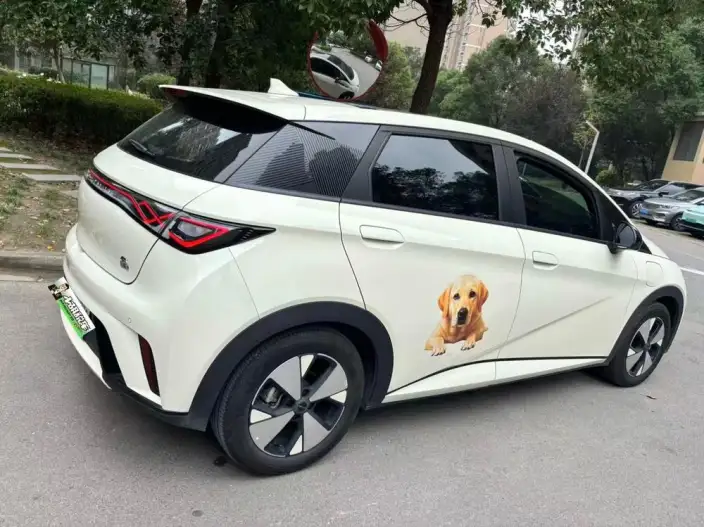 BYD Dolphin 2023 Model Fashion Edition – фото 5