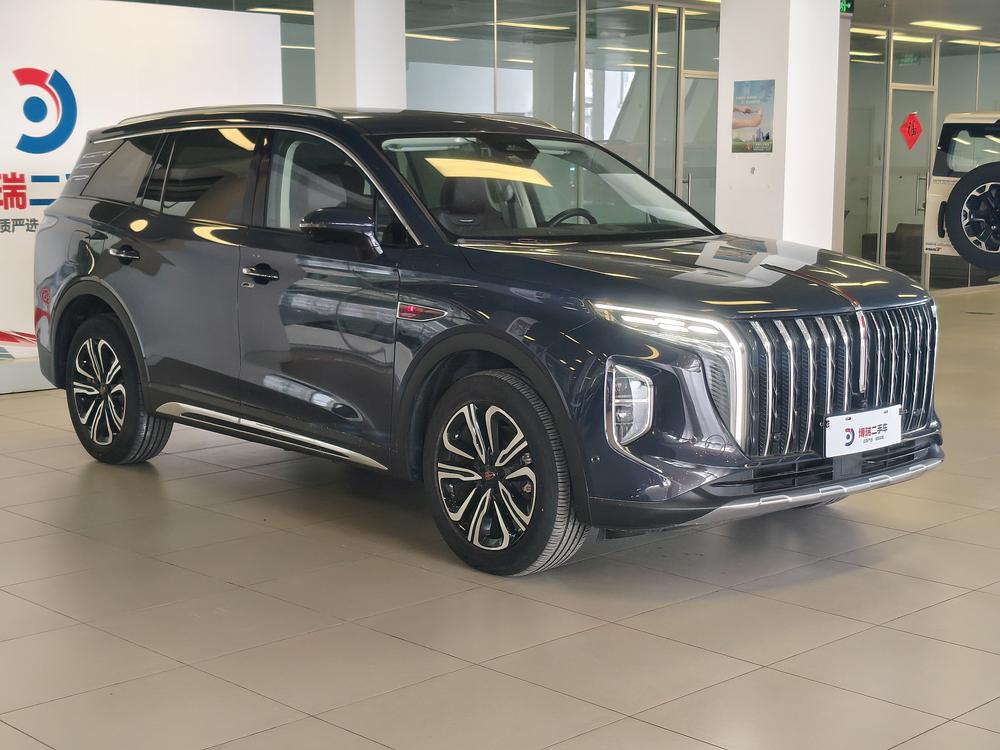 Hongqi HS7 Раздел 2023 2.0T 4WD Flag Ling Edition 6 seat – фото 3