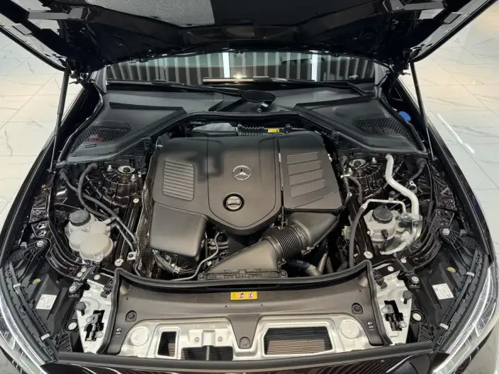 Mercedes-Benz E-Class 2024 Model E 300 L Noble Model Sports sedan – фото 6