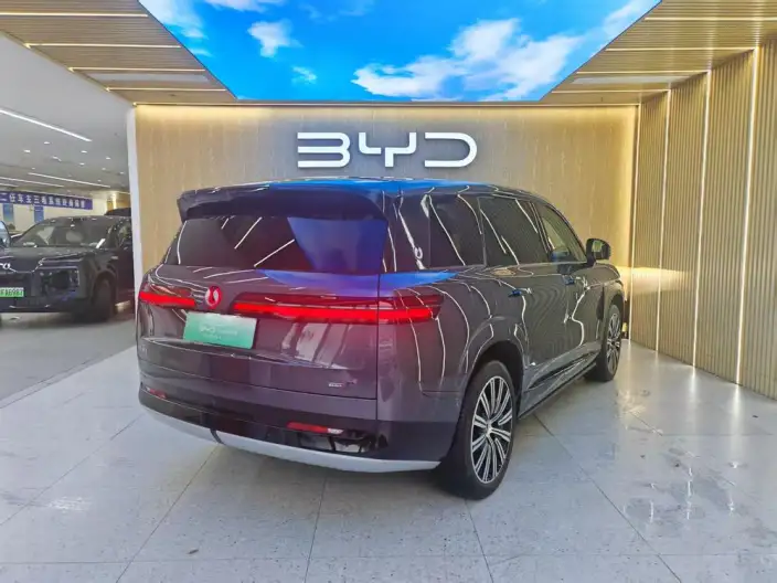 DENZA N9 DM 2025 Model Flagship Model – фото 5